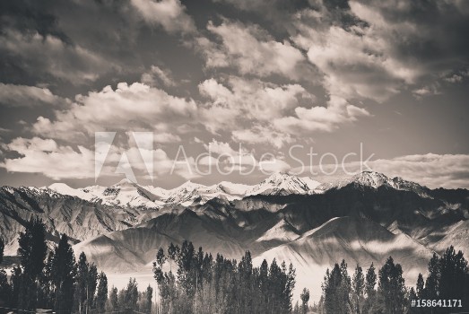 Picture of Landscape of Leh Ladakh North of India black and white tone